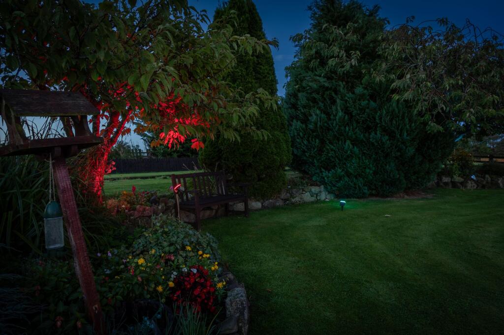 Twilights Rear Garden