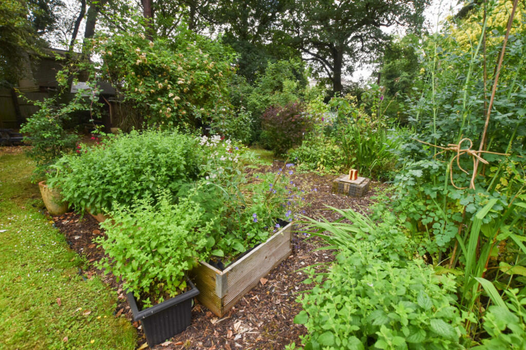 Garden 3