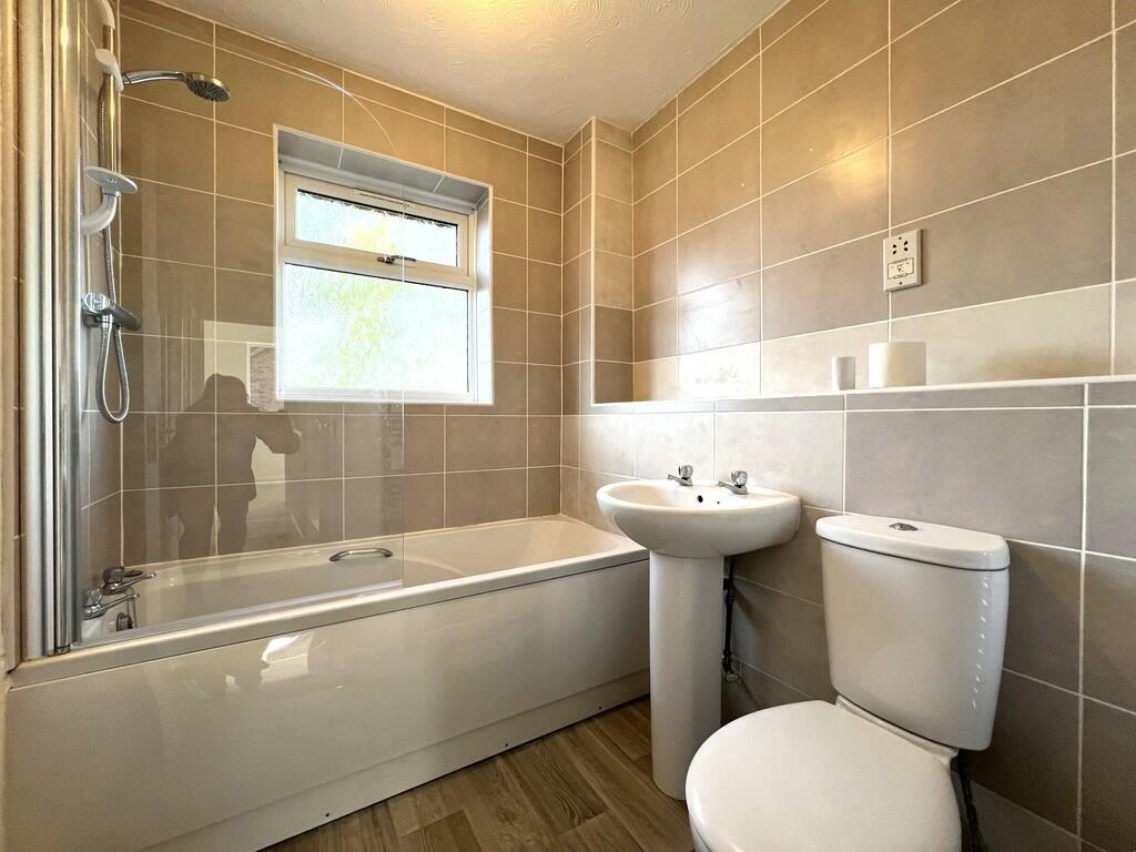 IMG_5391