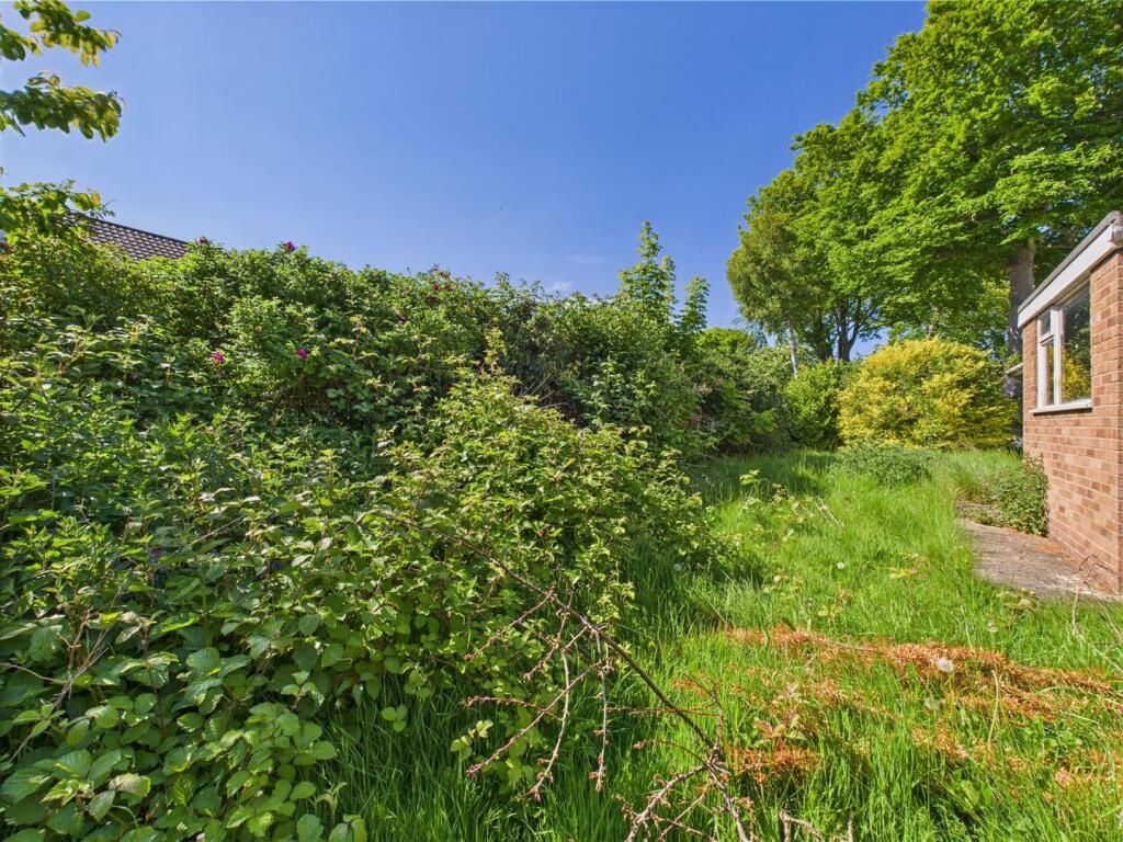 Garden: