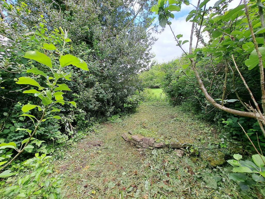 Not Specified
