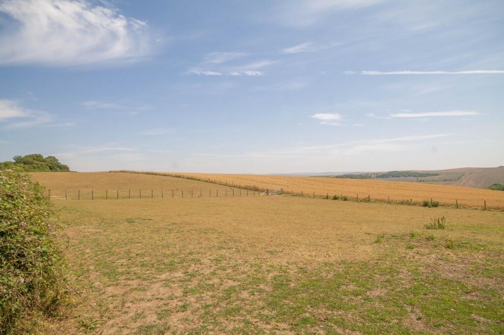 Picture 21