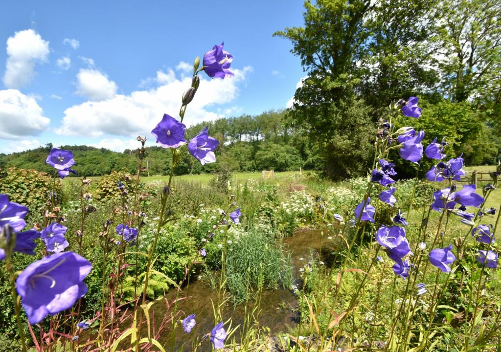 Washfield Seddons